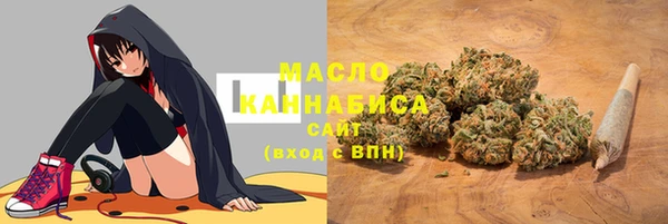 Альфа ПВП Чердынь