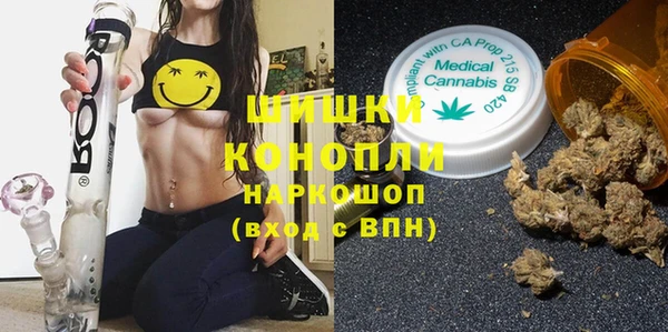 метадон Чекалин