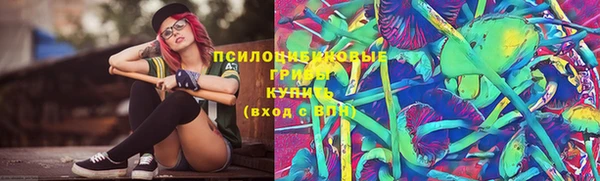 метадон Чекалин