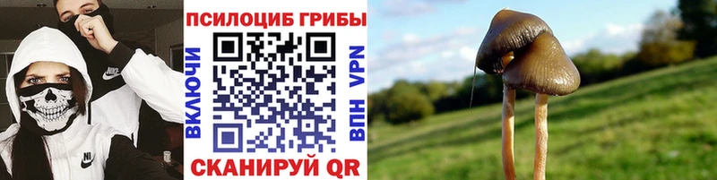 Псилоцибиновые грибы MAGIC MUSHROOMS  площадка телеграм  Яблоновский 